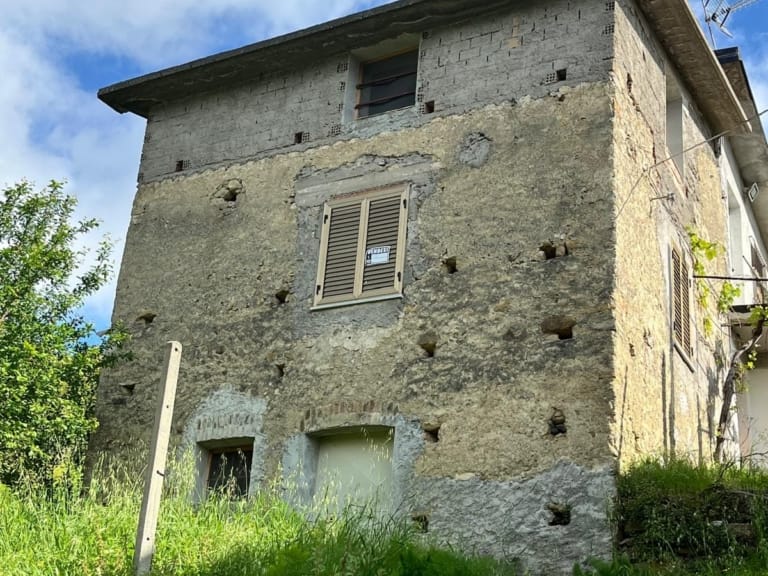 Casa indipendente in vendita a San Pietro in Amantea con 10.000 mq di terreno
