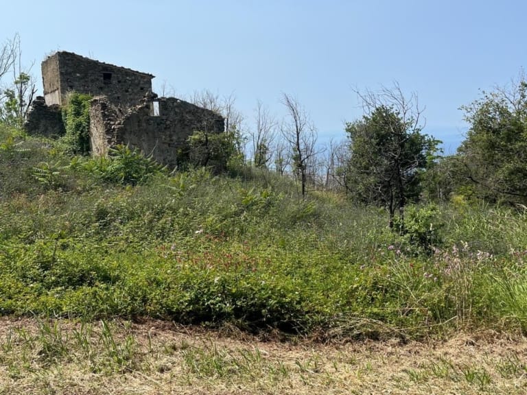 Terreno agricolo in vendita ad Amantea, Contrada Tuvolo, con rudere e vista mare