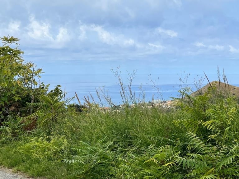 Terreno agricolo in vendita ad Amantea con rudere e vista mare
