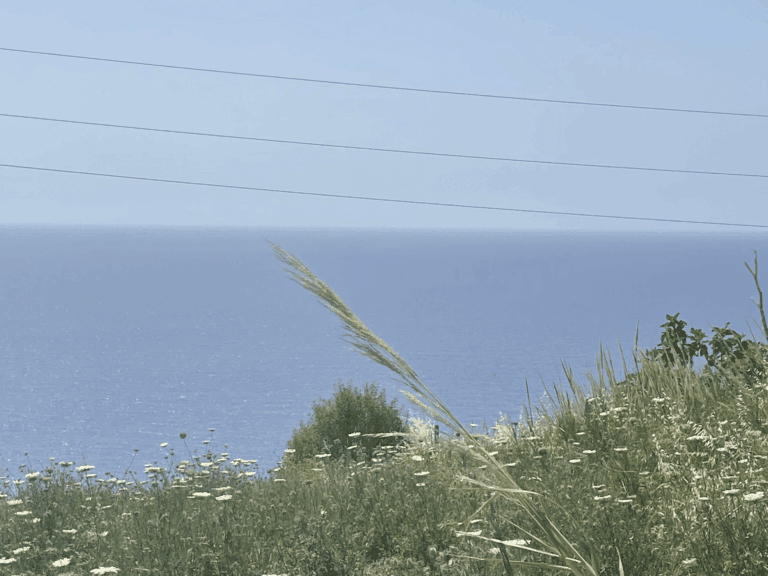 Terreno in vendita a Camoli con vista mare e uliveto