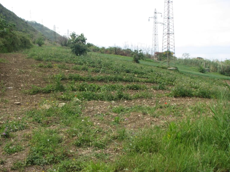 Rustico con 12.800 mq di terreno e vista mare in vendita ad Amantea