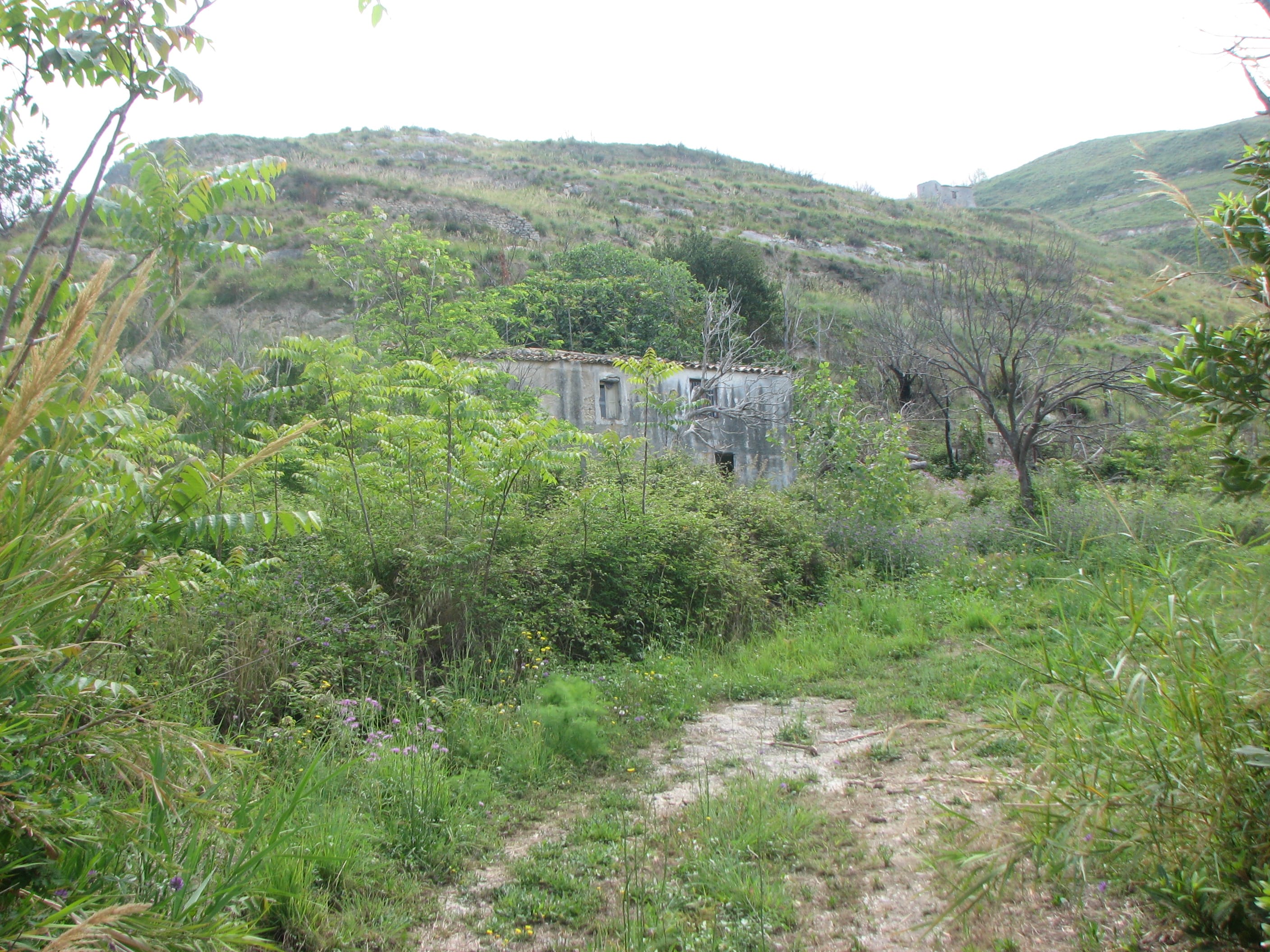 IMG_0403 – Copia Rustico con 12.800 mq di terreno e vista mare in vendita ad Amantea